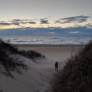 Meet your Posher, Frances